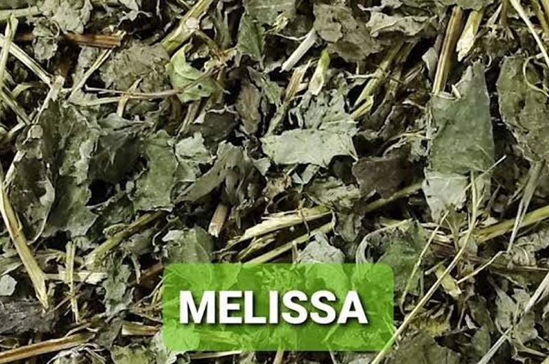 Chá de Melissa ou Hortelã